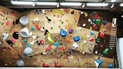 埼玉県のクライミング施設「クライミングジム Walrus（ウォルラス）」